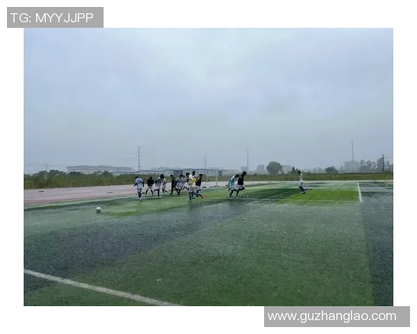 龙华区足球场周边休闲娱乐设施全攻略助你畅享足球盛宴