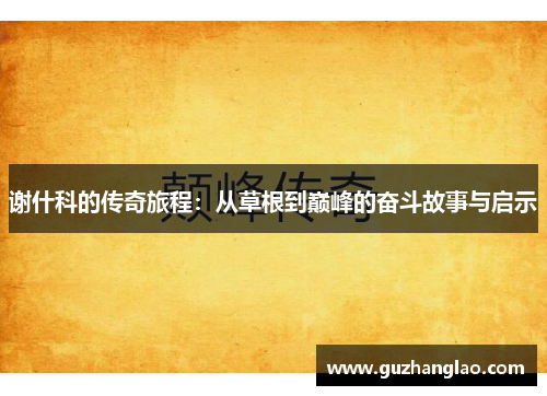 谢什科的传奇旅程：从草根到巅峰的奋斗故事与启示